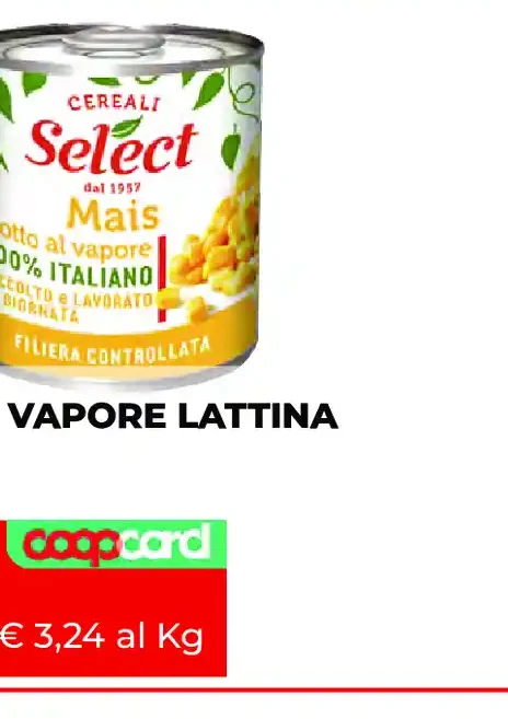 Tarallini Miceli