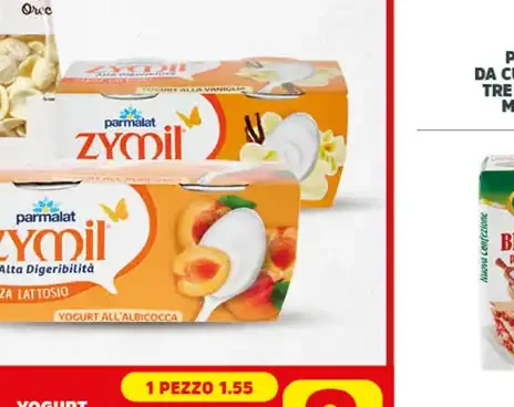 Yogurt Zymil vari gusti 125 g x2