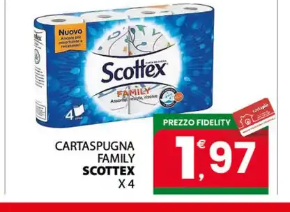 Carta spugna Scottex Family