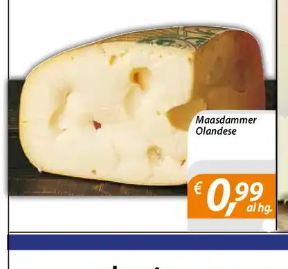 Maasdammer Olandese