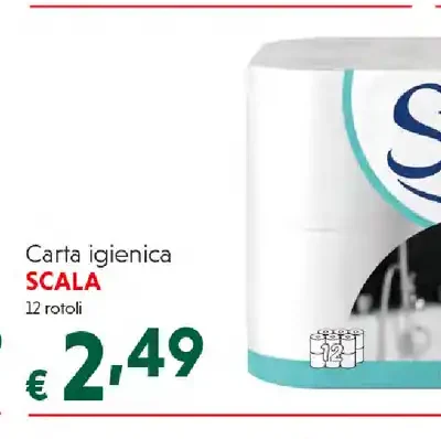 Carta igienica