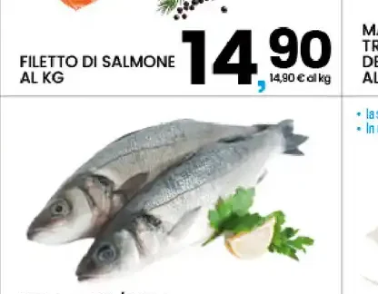 Filetto di salmone