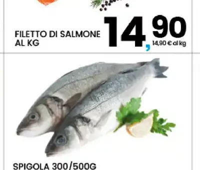 Filetto di salmone