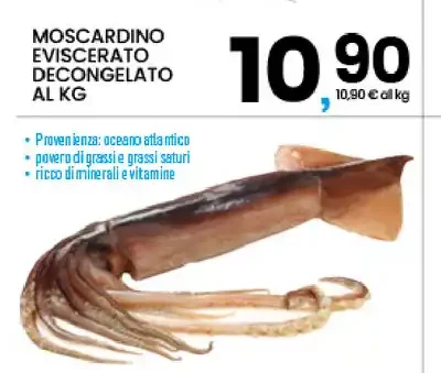 Moscardino eviscerato decongelato