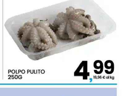 Polpo pulito