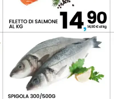 Filetto di salmone