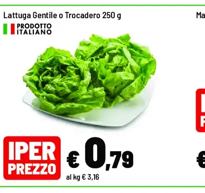 Lattuga gentile o trocadero