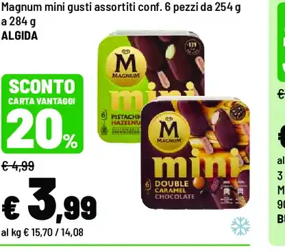 Magnum mini
