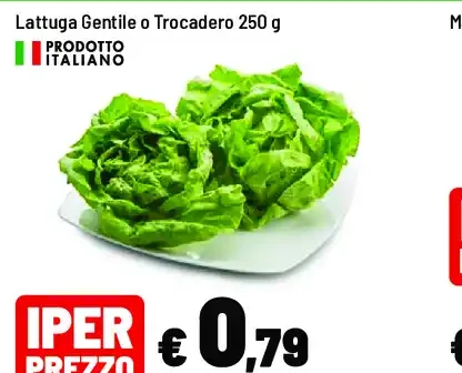 Lattuga Gentile o Trocadero