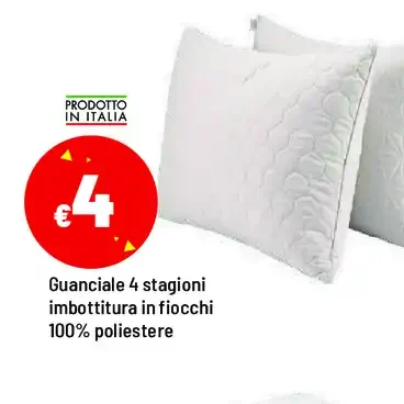 Guanciale 4 stagioni