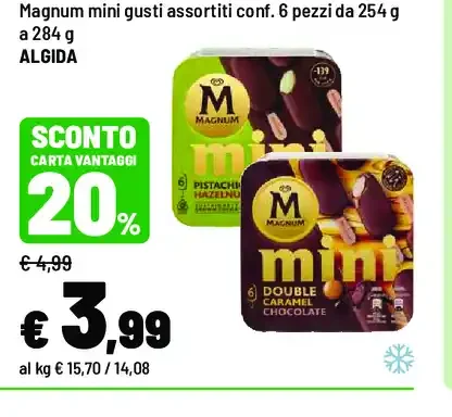 Magnum mini
