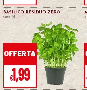 Basilico residuo zero