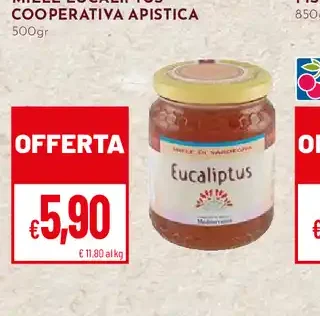 Miele eucaliptus Cooperativa Apistica