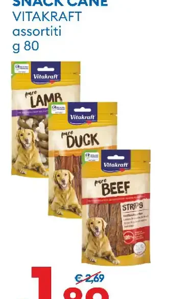 Snack cane assortiti