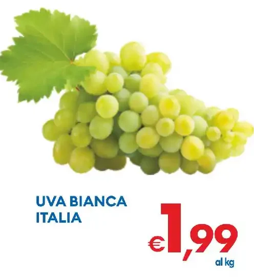 Uva bianca Italia