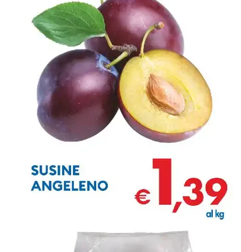 Susine Angeleno