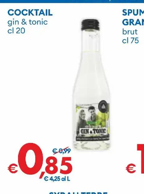 Gin & tonic