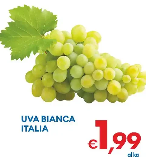 Uva bianca Italia