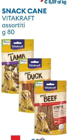 Snack cane