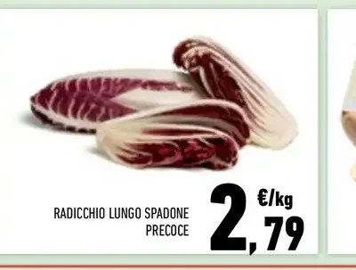Radicchio lungo spadone precoce