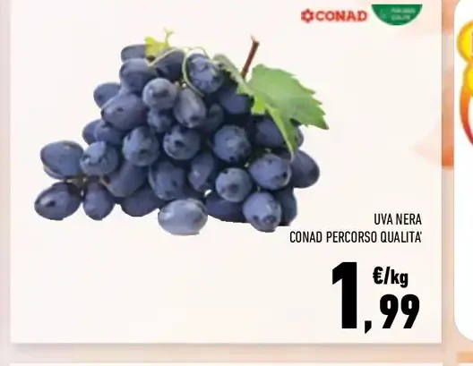 Uva nera Conad Percorso Qualità