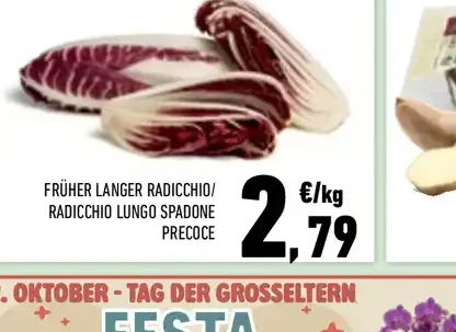 Radicchio lungo spadone precoce