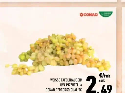 Uva pizzutella