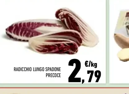 Radicchio lungo spadone precoce