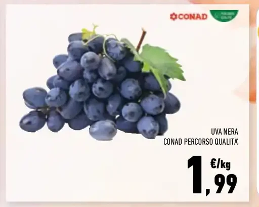 Uva nera Conad Percorso Qualità