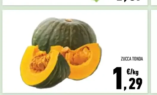 Zucca tonda