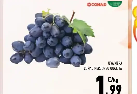 Uva nera Conad Percorso Qualità