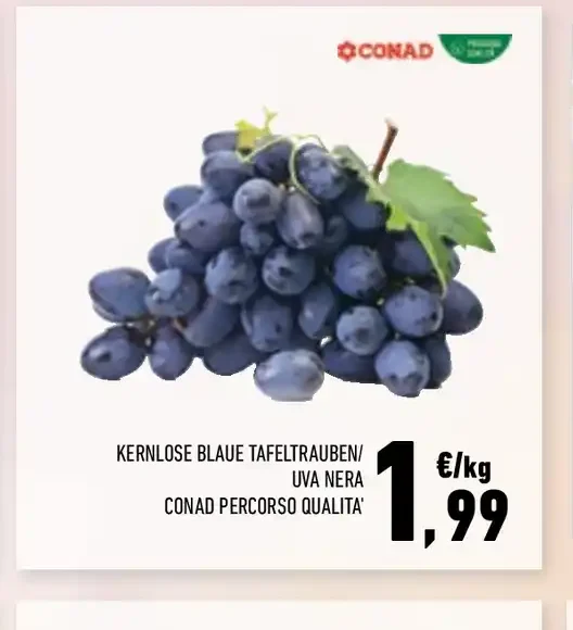Uva nera senza semi