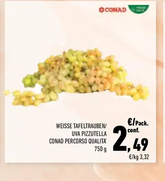 Uva Pizzutella