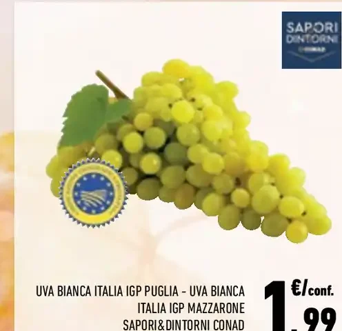 Uva bianca Italia IGP Puglia