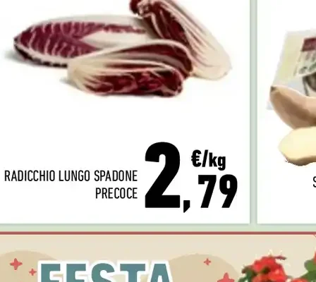 Radicchio lungo spadone precoce