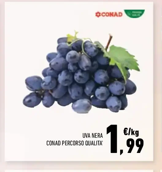Uva nera Conad Percorso Qualità