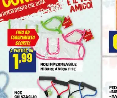 Noe guinzaglio corda