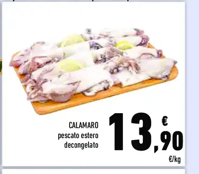 Calamaro
