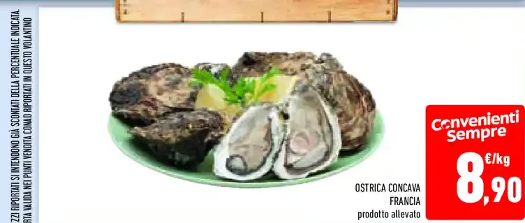 Ostrica Concava Francia