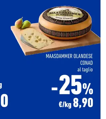 Maasdammer olandese