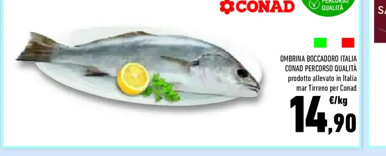 Ombrina boccadoro Italia