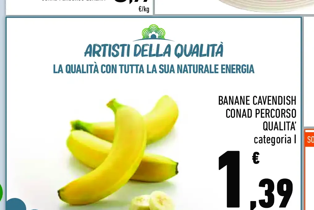 Banane Cavendish