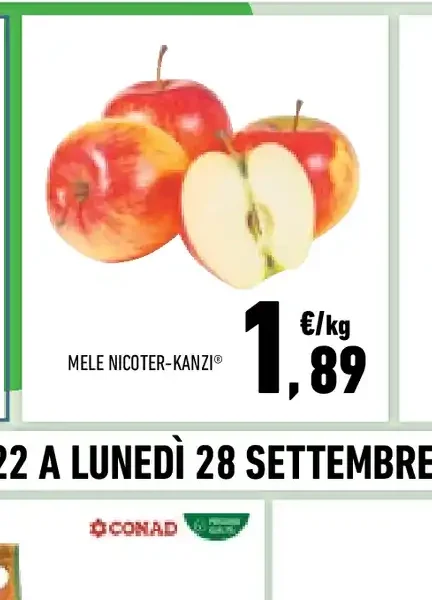 Mele Nicoter-Kanzi