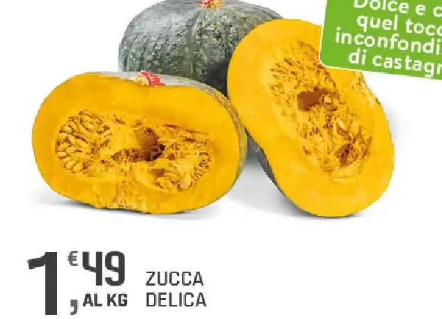 Zucca Delica