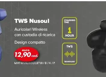 TWS Nusoul