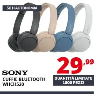 Sony WHCH520