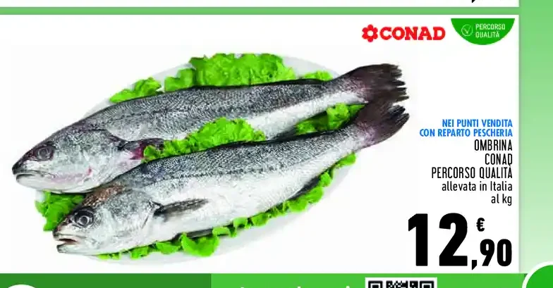 Ombrina Conad