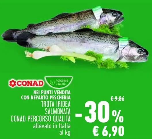 Trota iridea salmonata