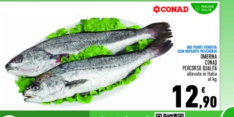 Ombrina