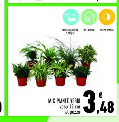 Mix piante verdi